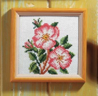 Slika za vezenje aida 11x11cm