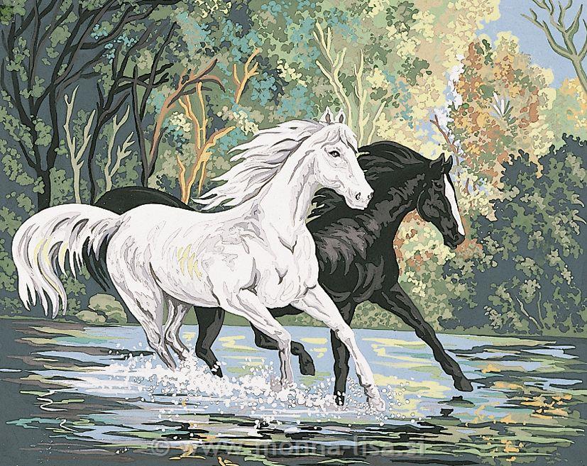 Gobelin s prejicami 70x50cm