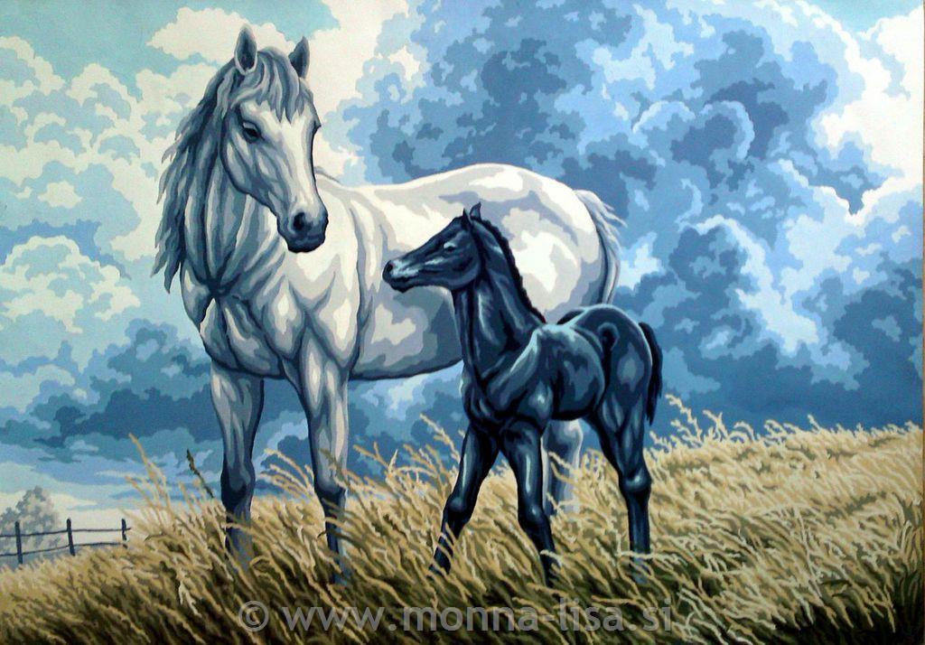Gobelin s prejicami 50x70 cm
