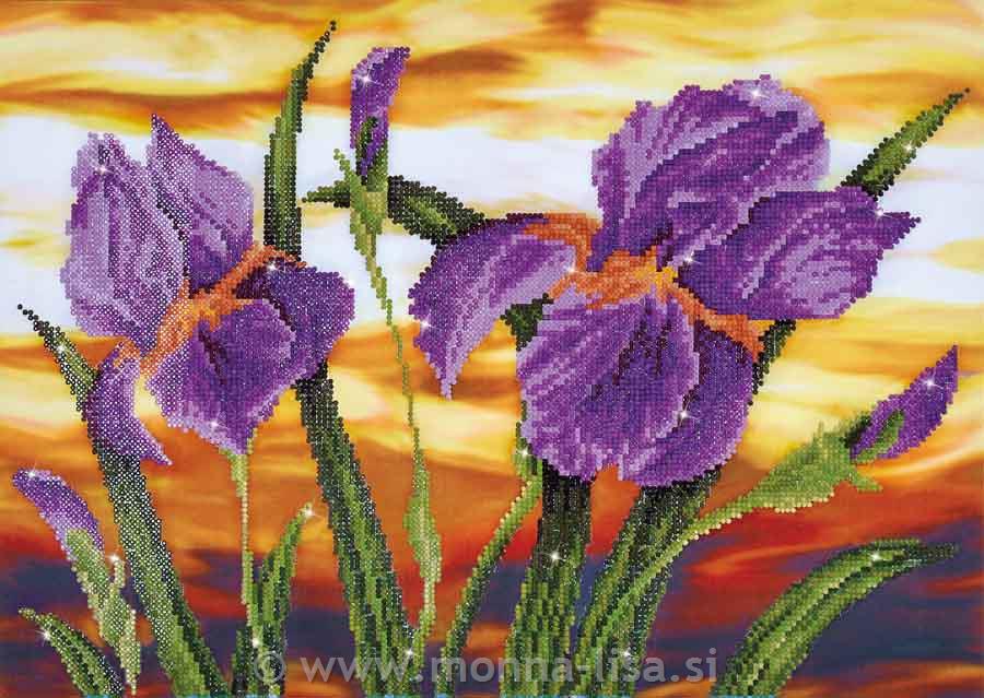 Diamond dotz - irisi 50,8x40,6cm